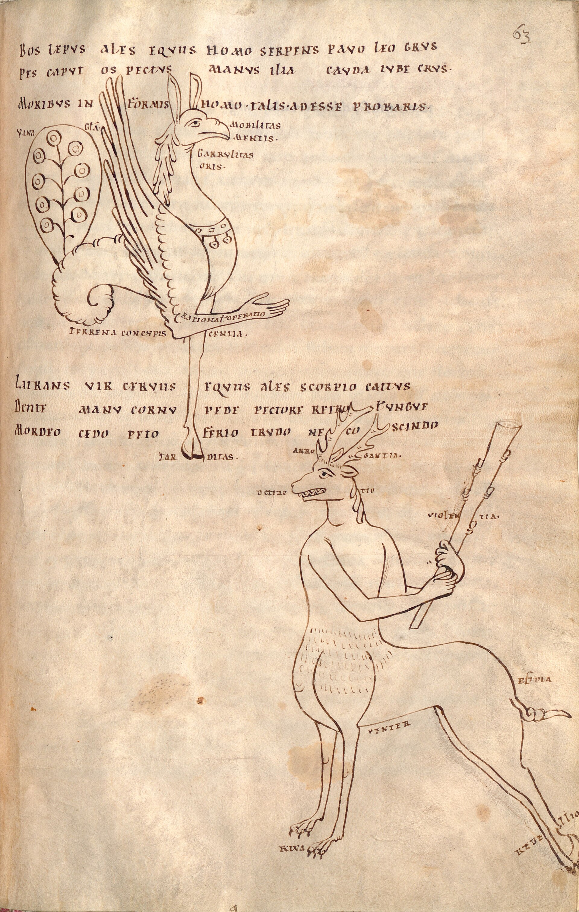 A folio from a twelfth-century manuscript of Bede's De temporum ratione, showing pen drawings of allegorical hybrid creatures with Latin labels.